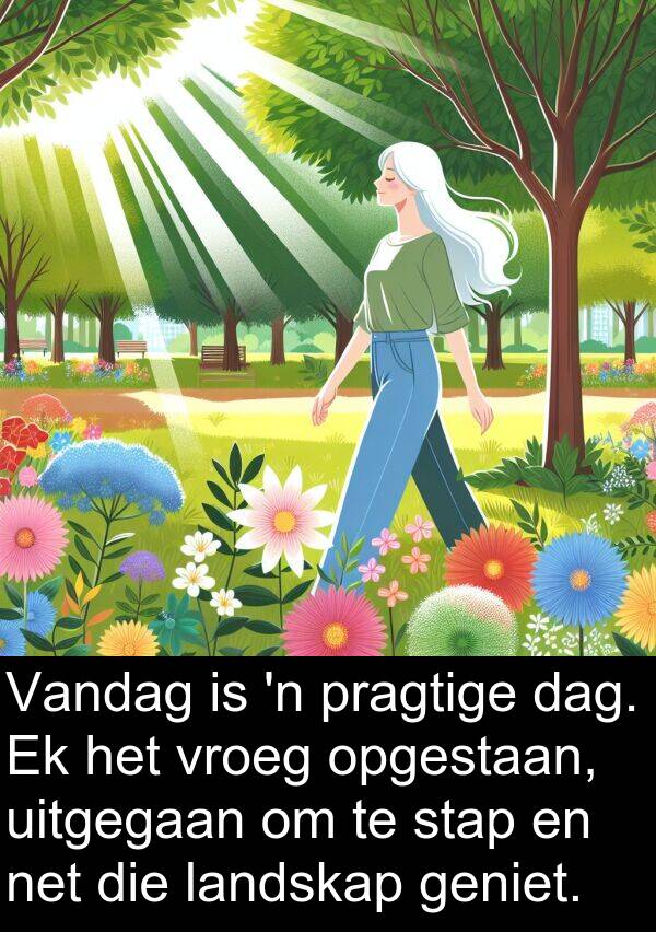 uitgegaan: Vandag is 'n pragtige dag. Ek het vroeg opgestaan, uitgegaan om te stap en net die landskap geniet.