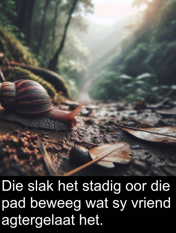 agtergelaat: Die slak het stadig oor die pad beweeg wat sy vriend agtergelaat het.
