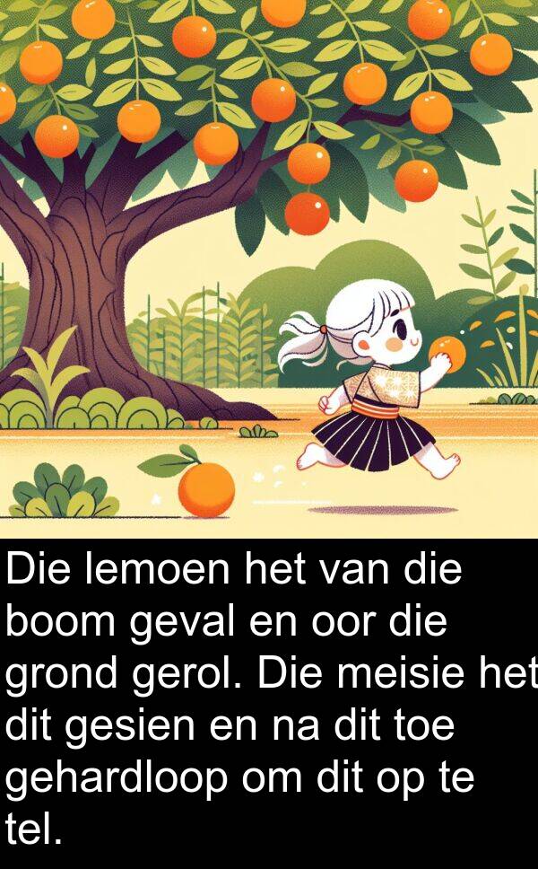 gehardloop: Die lemoen het van die boom geval en oor die grond gerol. Die meisie het dit gesien en na dit toe gehardloop om dit op te tel.