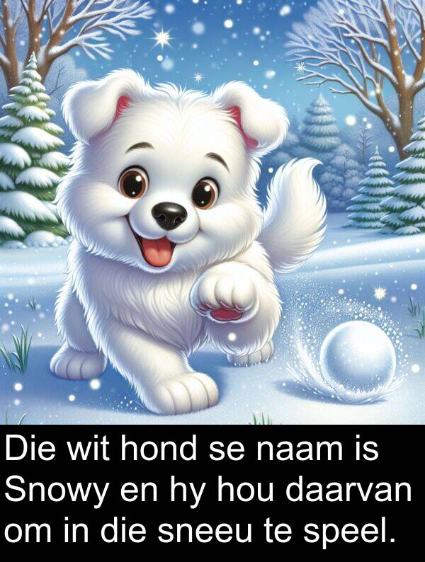 naam: Die wit hond se naam is Snowy en hy hou daarvan om in die sneeu te speel.