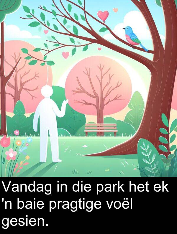 park: Vandag in die park het ek 'n baie pragtige voël gesien.