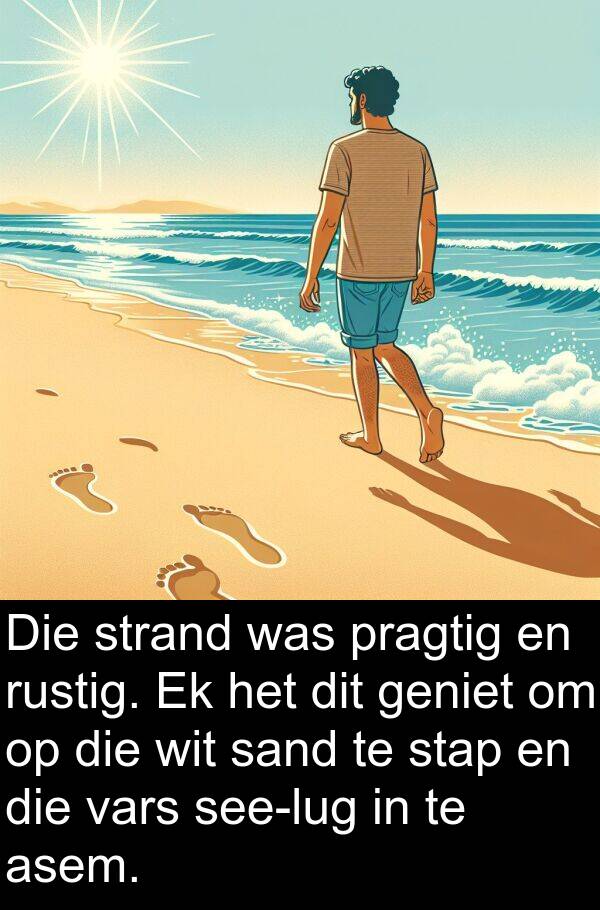sand: Die strand was pragtig en rustig. Ek het dit geniet om op die wit sand te stap en die vars see-lug in te asem.