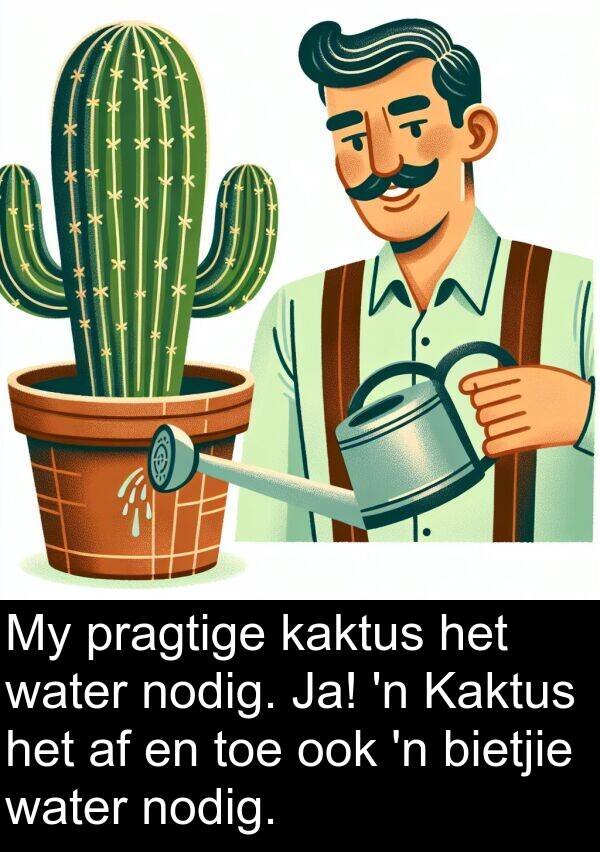 ook: My pragtige kaktus het water nodig. Ja! 'n Kaktus het af en toe ook 'n bietjie water nodig.