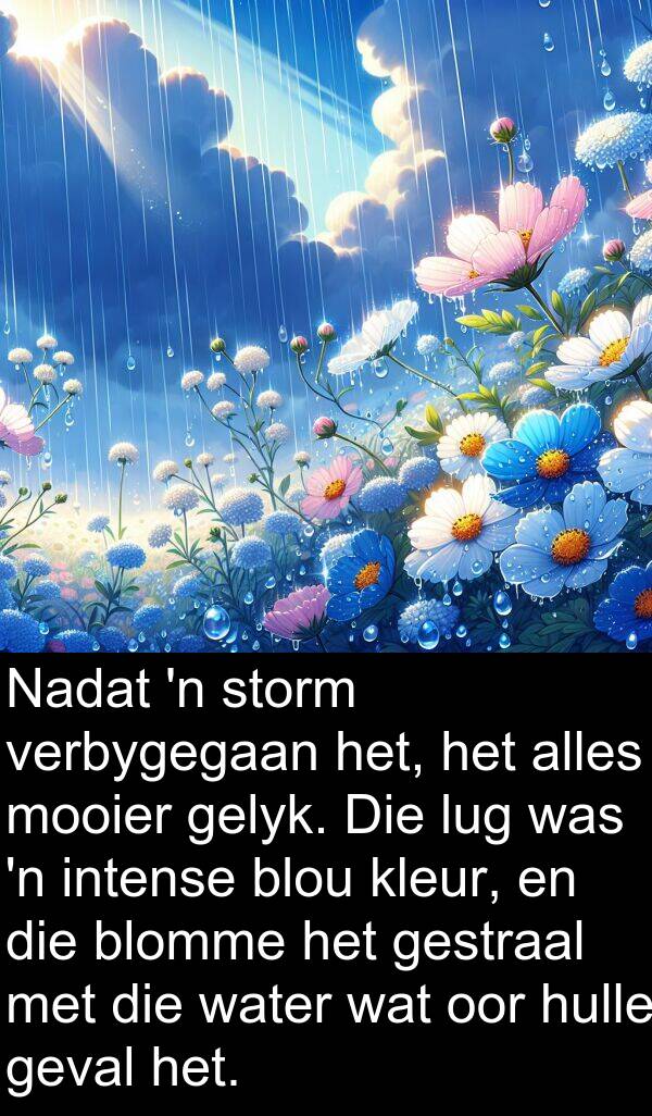 intense: Nadat 'n storm verbygegaan het, het alles mooier gelyk. Die lug was 'n intense blou kleur, en die blomme het gestraal met die water wat oor hulle geval het.