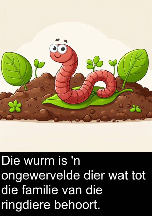 behoort: Die wurm is 'n ongewervelde dier wat tot die familie van die ringdiere behoort.