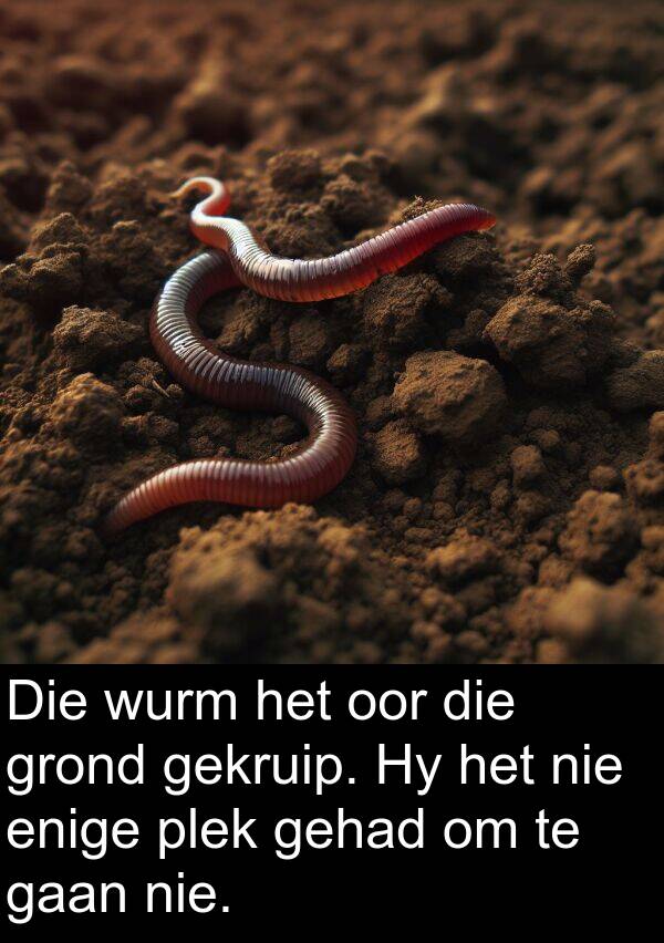 wurm: Die wurm het oor die grond gekruip. Hy het nie enige plek gehad om te gaan nie.