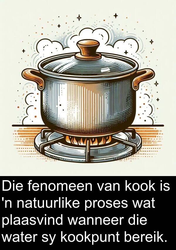proses: Die fenomeen van kook is 'n natuurlike proses wat plaasvind wanneer die water sy kookpunt bereik.