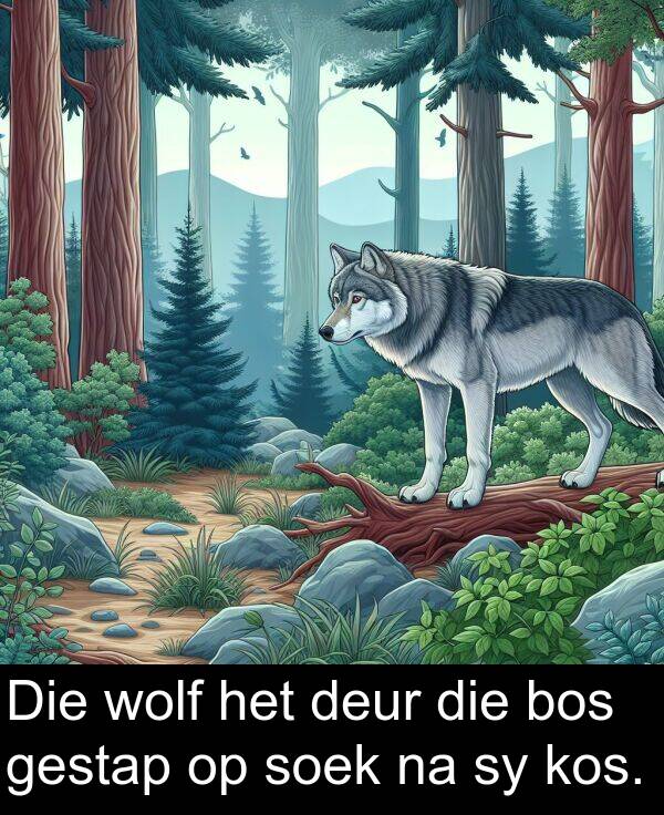 deur: Die wolf het deur die bos gestap op soek na sy kos.