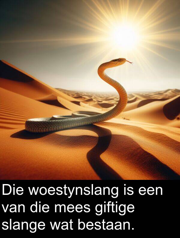 woestynslang: Die woestynslang is een van die mees giftige slange wat bestaan.