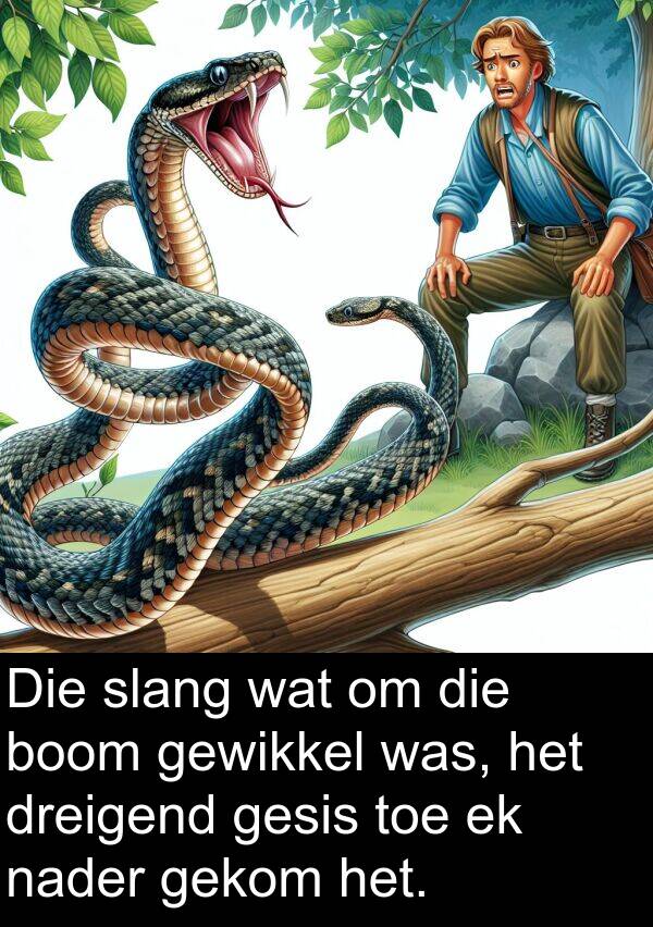 nader: Die slang wat om die boom gewikkel was, het dreigend gesis toe ek nader gekom het.