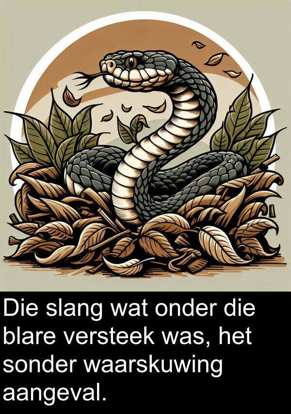 waarskuwing: Die slang wat onder die blare versteek was, het sonder waarskuwing aangeval.