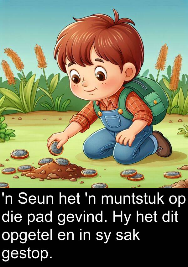 sak: 'n Seun het 'n muntstuk op die pad gevind. Hy het dit opgetel en in sy sak gestop.