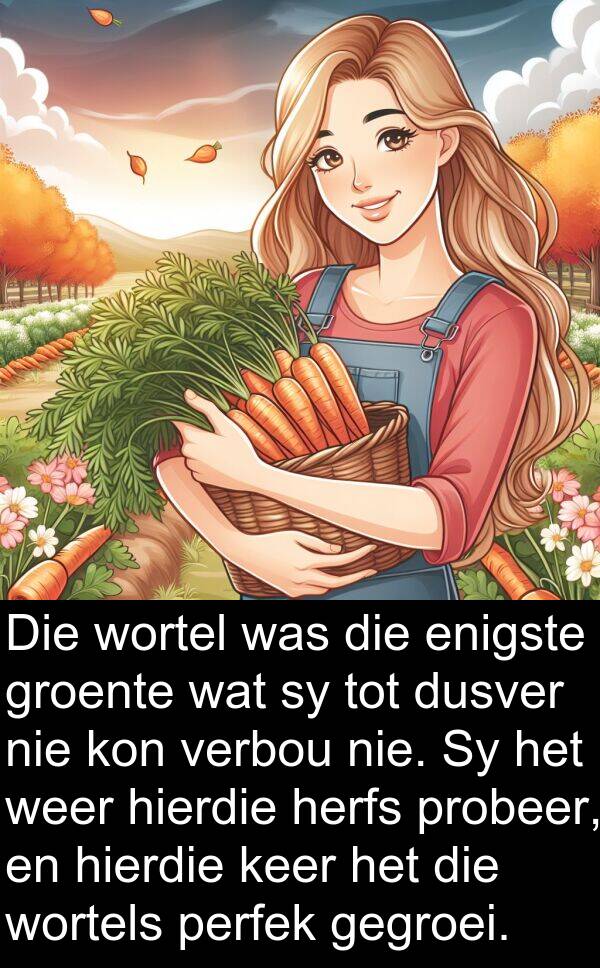 gegroei: Die wortel was die enigste groente wat sy tot dusver nie kon verbou nie. Sy het weer hierdie herfs probeer, en hierdie keer het die wortels perfek gegroei.
