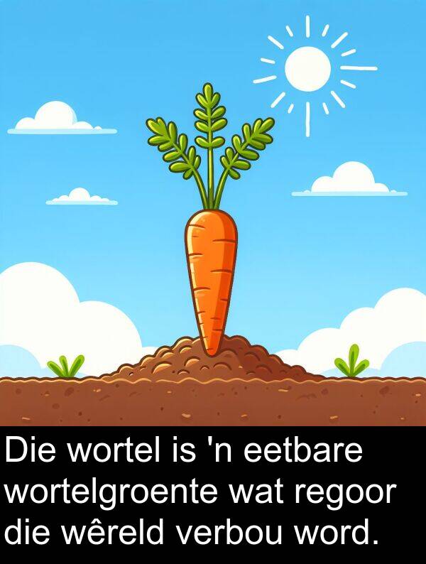 wortel: Die wortel is 'n eetbare wortelgroente wat regoor die wêreld verbou word.