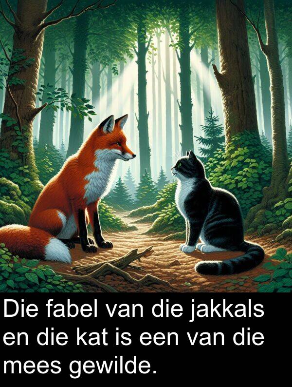 jakkals: Die fabel van die jakkals en die kat is een van die mees gewilde.