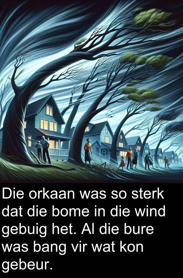 bang: Die orkaan was so sterk dat die bome in die wind gebuig het. Al die bure was bang vir wat kon gebeur.