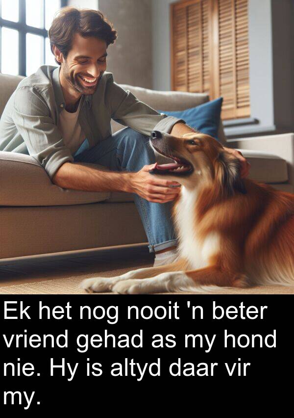 nooit: Ek het nog nooit 'n beter vriend gehad as my hond nie. Hy is altyd daar vir my.