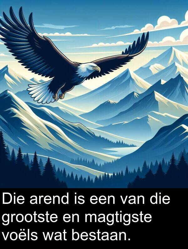 een: Die arend is een van die grootste en magtigste voëls wat bestaan.