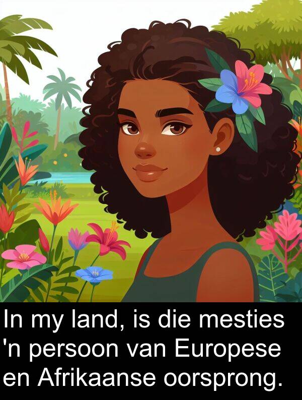 mesties: In my land, is die mesties 'n persoon van Europese en Afrikaanse oorsprong.