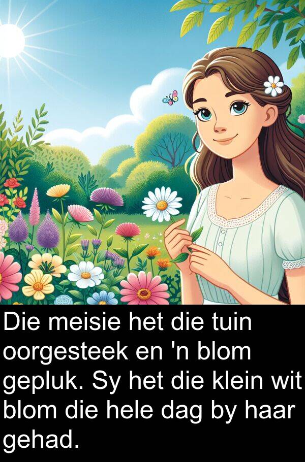meisie: Die meisie het die tuin oorgesteek en 'n blom gepluk. Sy het die klein wit blom die hele dag by haar gehad.