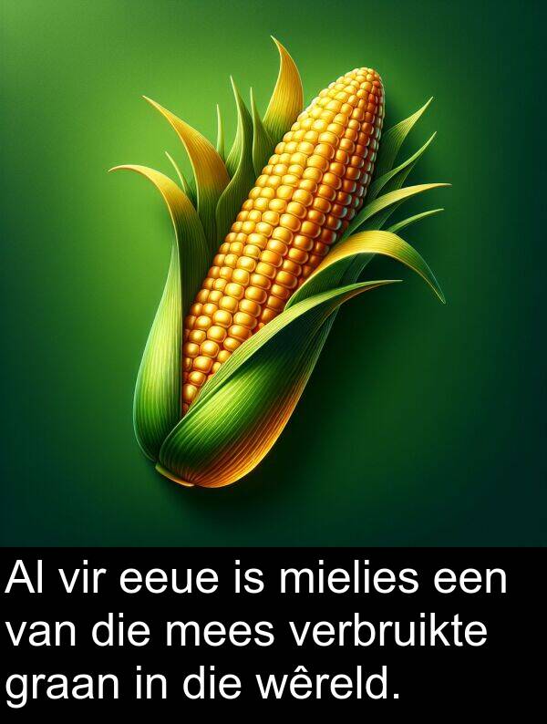 wêreld: Al vir eeue is mielies een van die mees verbruikte graan in die wêreld.