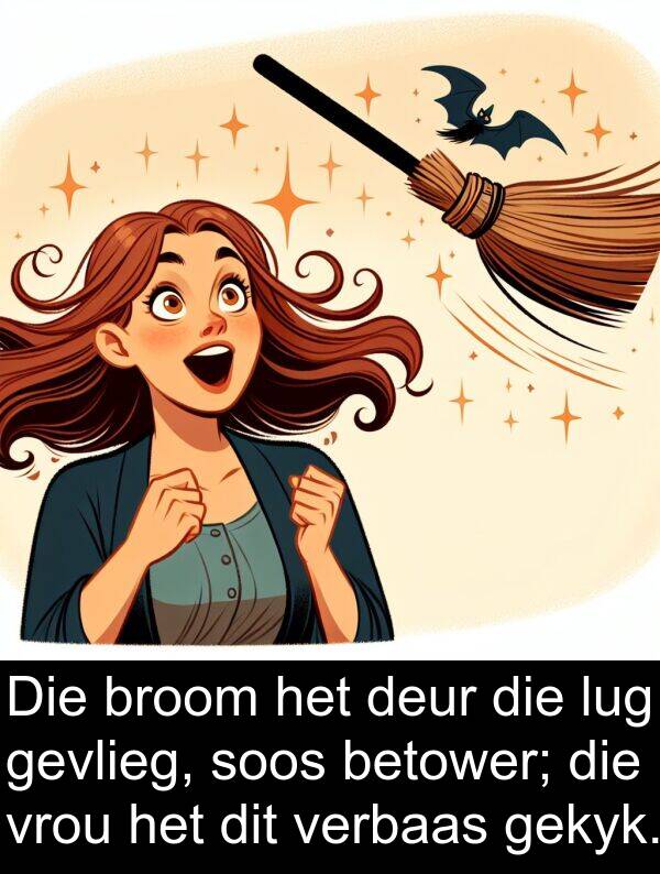 gekyk: Die broom het deur die lug gevlieg, soos betower; die vrou het dit verbaas gekyk.