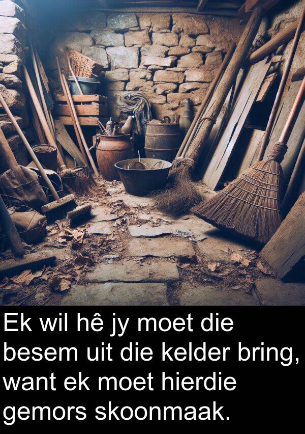 want: Ek wil hê jy moet die besem uit die kelder bring, want ek moet hierdie gemors skoonmaak.