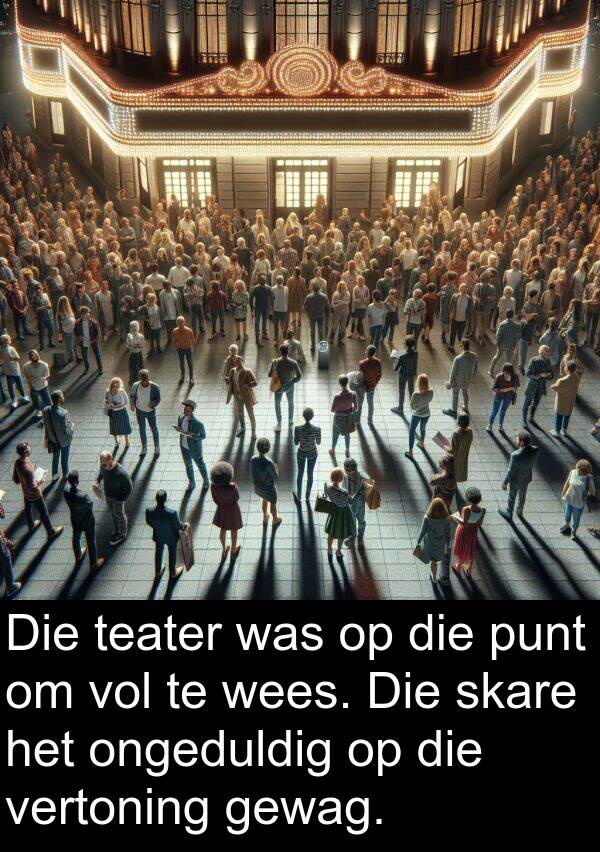 skare: Die teater was op die punt om vol te wees. Die skare het ongeduldig op die vertoning gewag.