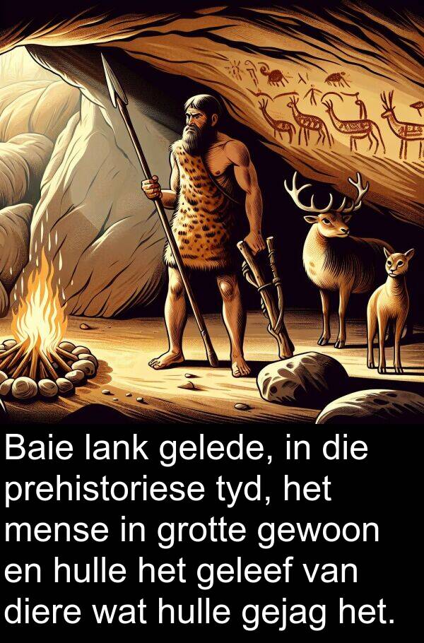 geleef: Baie lank gelede, in die prehistoriese tyd, het mense in grotte gewoon en hulle het geleef van diere wat hulle gejag het.