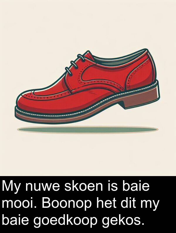 gekos: My nuwe skoen is baie mooi. Boonop het dit my baie goedkoop gekos.
