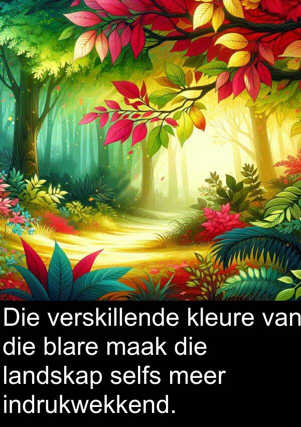 indrukwekkend: Die verskillende kleure van die blare maak die landskap selfs meer indrukwekkend.