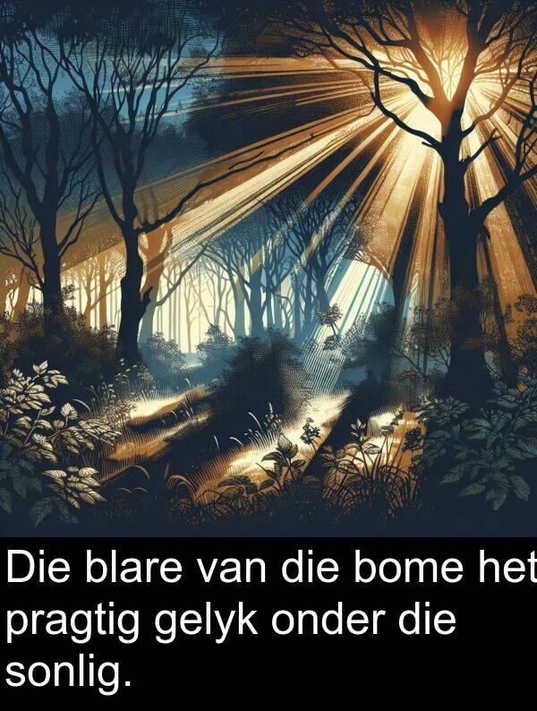 onder: Die blare van die bome het pragtig gelyk onder die sonlig.
