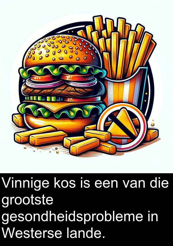 lande: Vinnige kos is een van die grootste gesondheidsprobleme in Westerse lande.