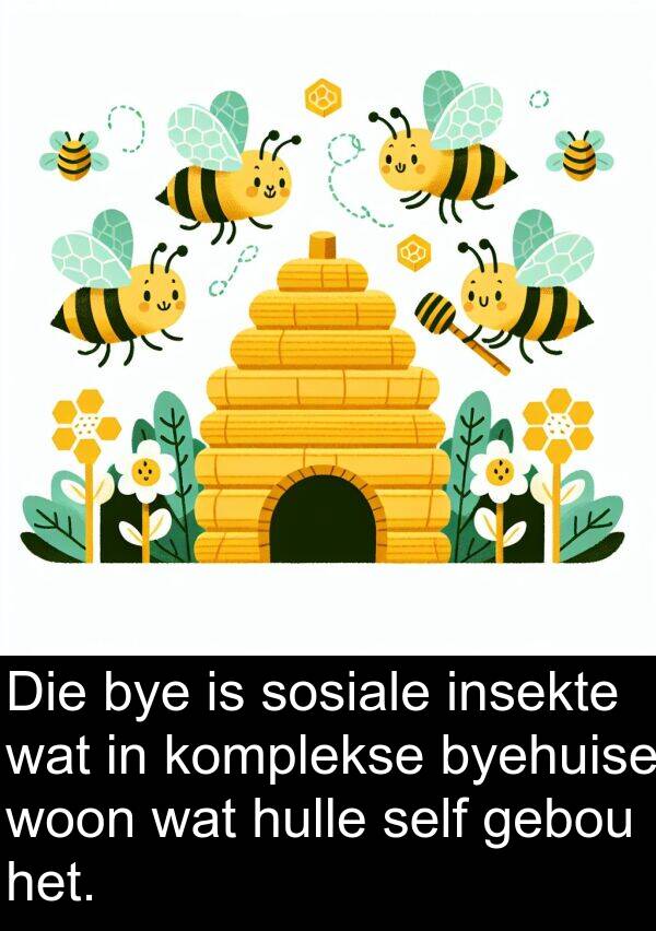 woon: Die bye is sosiale insekte wat in komplekse byehuise woon wat hulle self gebou het.