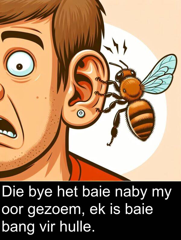 hulle: Die bye het baie naby my oor gezoem, ek is baie bang vir hulle.