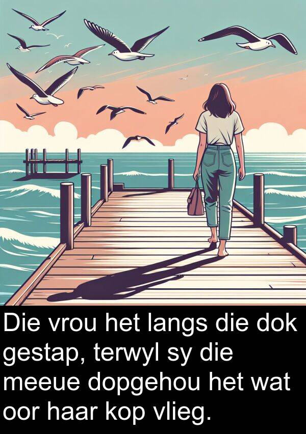 meeue: Die vrou het langs die dok gestap, terwyl sy die meeue dopgehou het wat oor haar kop vlieg.