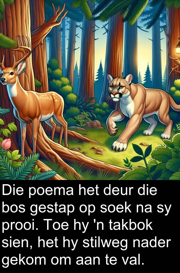 prooi: Die poema het deur die bos gestap op soek na sy prooi. Toe hy 'n takbok sien, het hy stilweg nader gekom om aan te val.