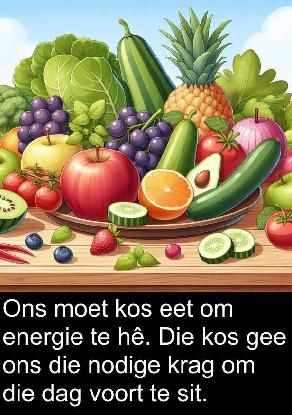 hê: Ons moet kos eet om energie te hê. Die kos gee ons die nodige krag om die dag voort te sit.