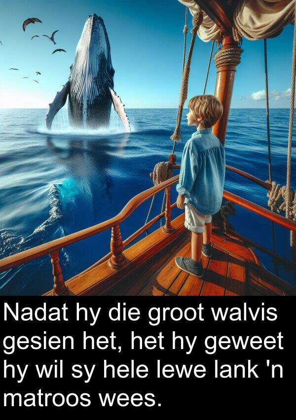 matroos: Nadat hy die groot walvis gesien het, het hy geweet hy wil sy hele lewe lank 'n matroos wees.
