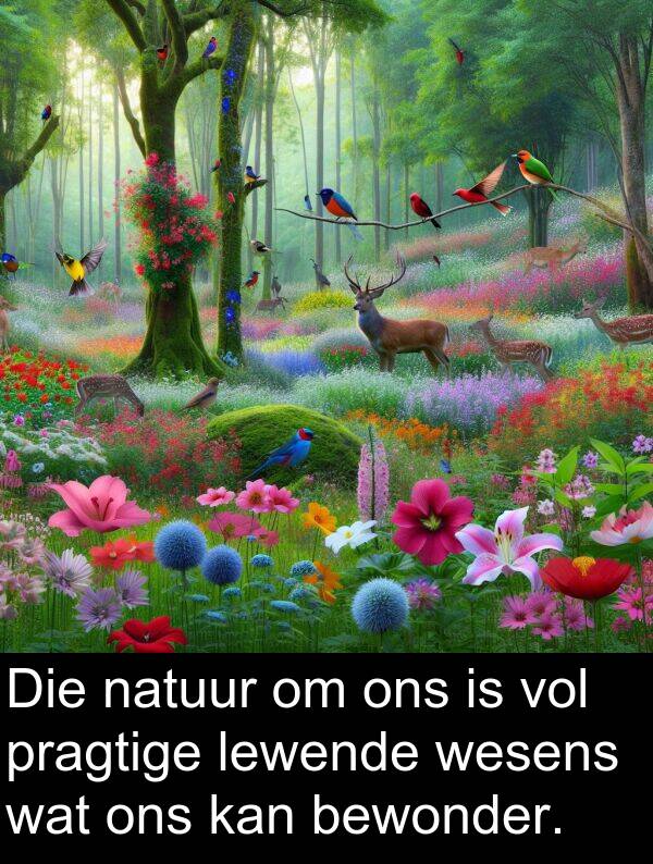 lewende: Die natuur om ons is vol pragtige lewende wesens wat ons kan bewonder.