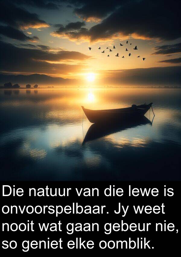 oomblik: Die natuur van die lewe is onvoorspelbaar. Jy weet nooit wat gaan gebeur nie, so geniet elke oomblik.