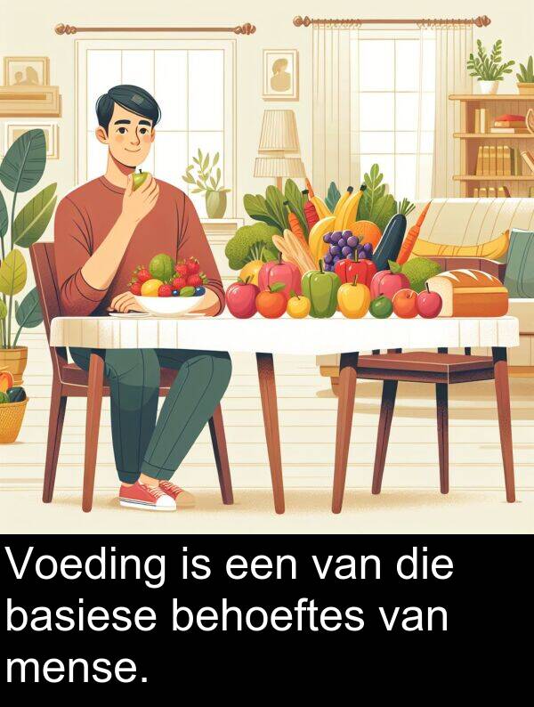 basiese: Voeding is een van die basiese behoeftes van mense.