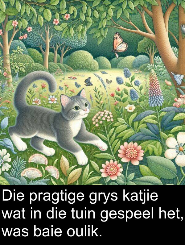 oulik: Die pragtige grys katjie wat in die tuin gespeel het, was baie oulik.