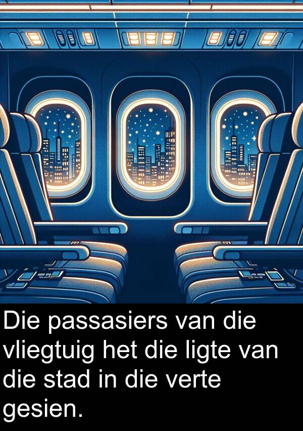 passasiers: Die passasiers van die vliegtuig het die ligte van die stad in die verte gesien.