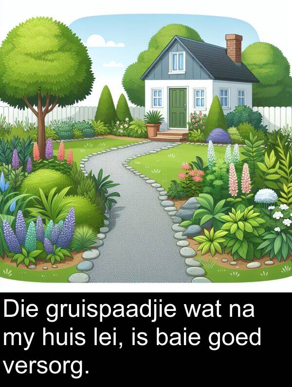 lei: Die gruispaadjie wat na my huis lei, is baie goed versorg.