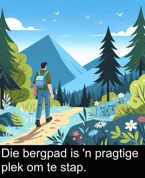 bergpad: Die bergpad is 'n pragtige plek om te stap.