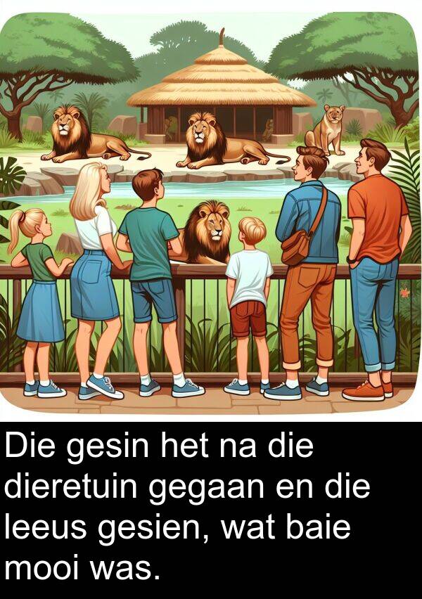 gegaan: Die gesin het na die dieretuin gegaan en die leeus gesien, wat baie mooi was.