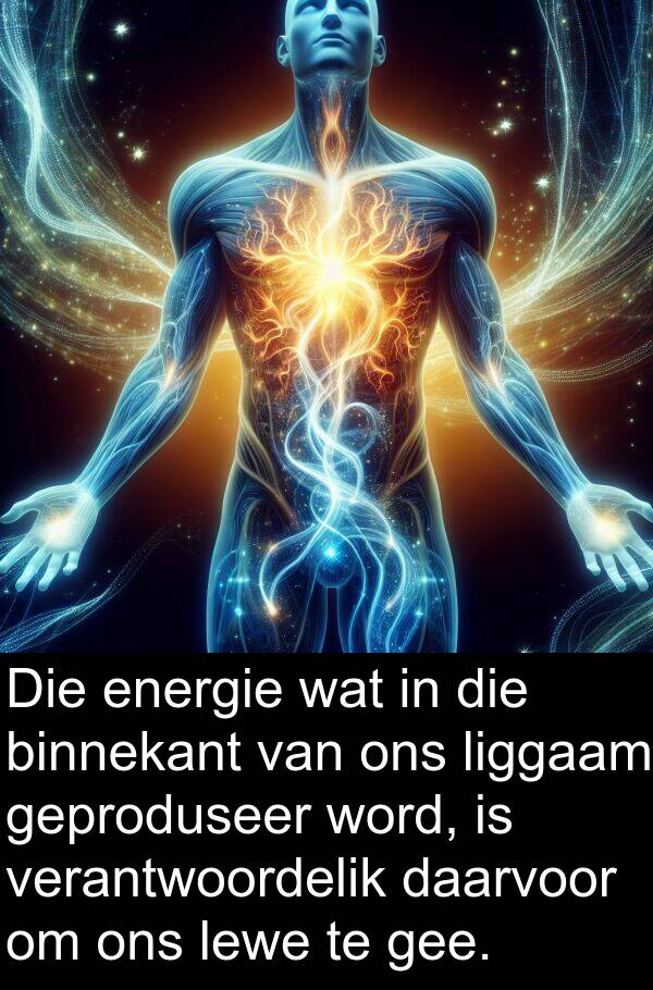 energie: Die energie wat in die binnekant van ons liggaam geproduseer word, is verantwoordelik daarvoor om ons lewe te gee.
