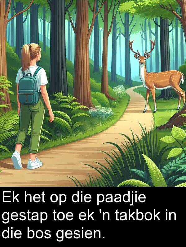 toe: Ek het op die paadjie gestap toe ek 'n takbok in die bos gesien.