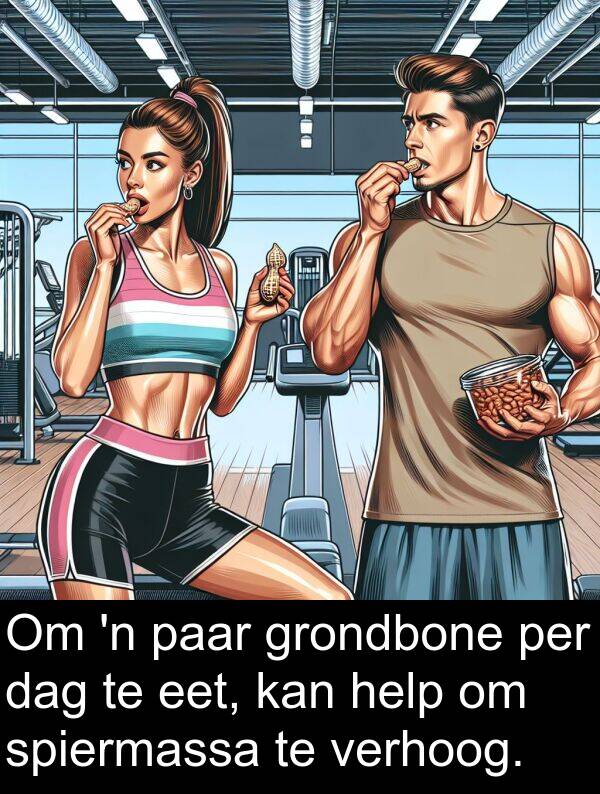 help: Om 'n paar grondbone per dag te eet, kan help om spiermassa te verhoog.